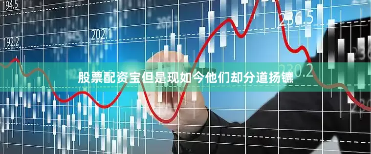 股票配资宝但是现如今他们却分道扬镳